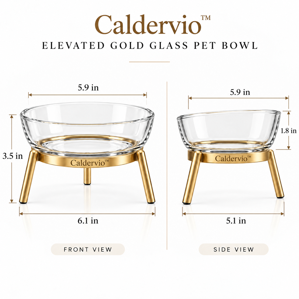 Caldervio™ Elevated Gold Glass Pet Bowl product dimensions