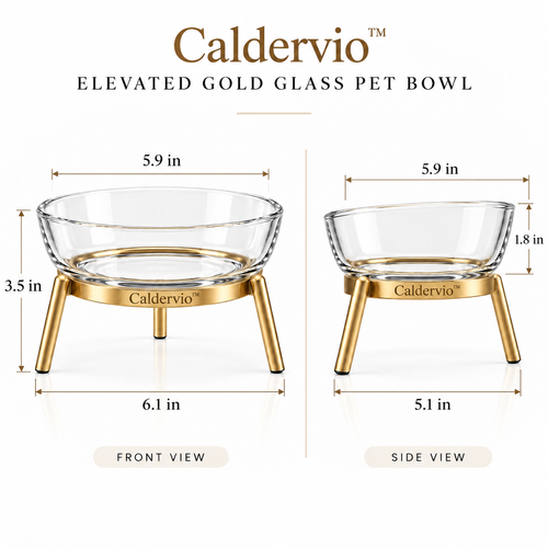 Caldervio™ Elevated Gold Glass Pet Bowl product dimensions
