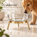 Caldervio™ Elevated Gold Glass Pet Bowl lifestyle image