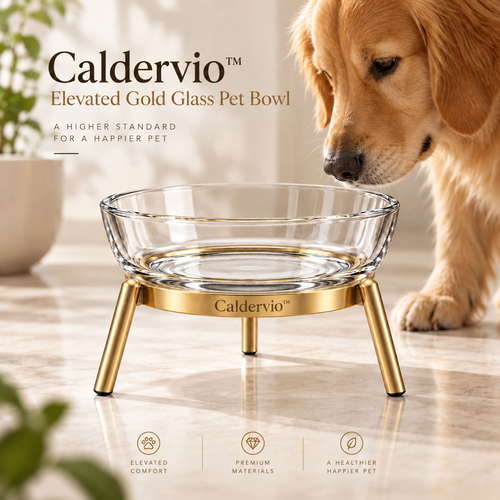 Caldervio™ Elevated Gold Glass Pet Bowl lifestyle image