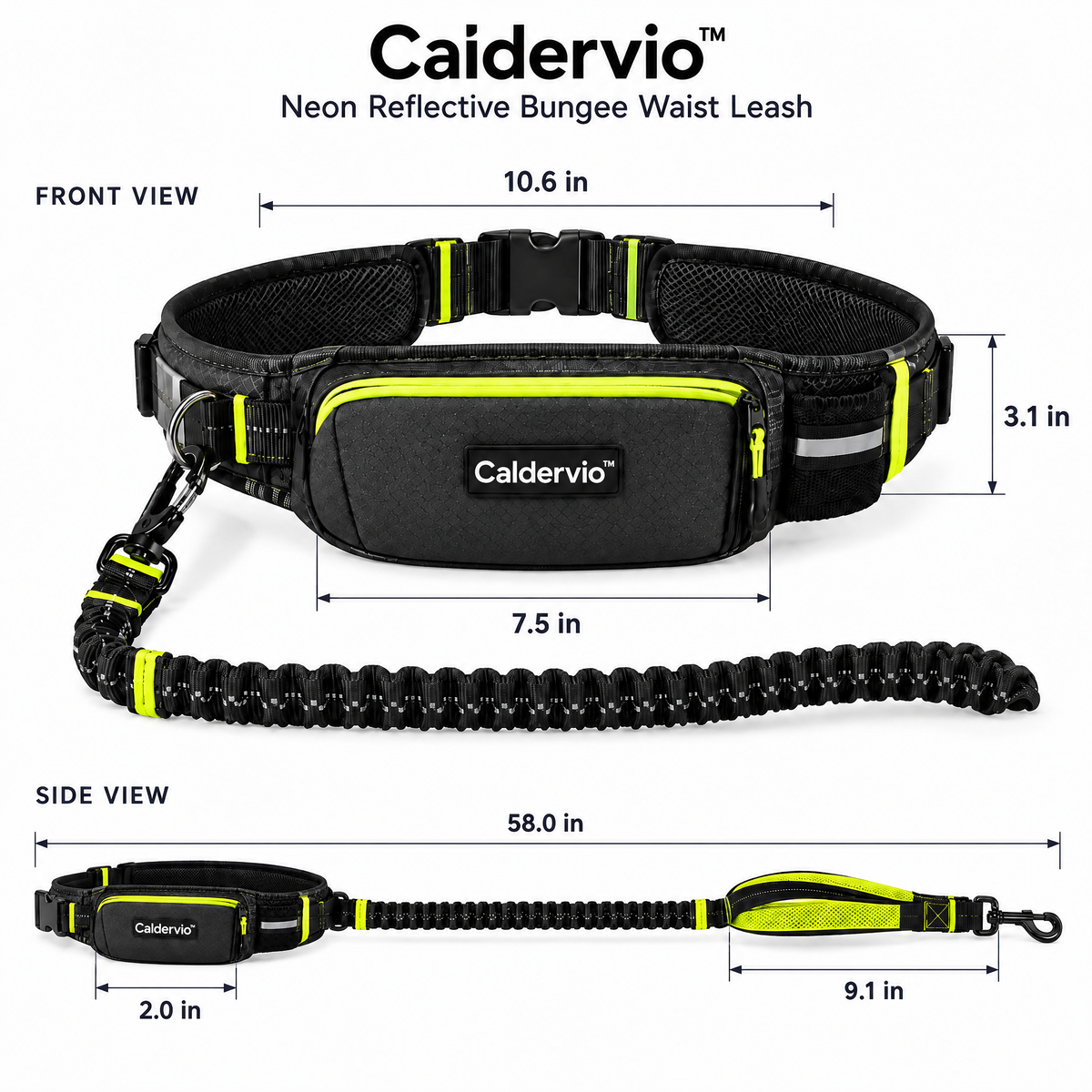 Caldervio™ Neon Reflective Bungee Waist Leash product dimensions