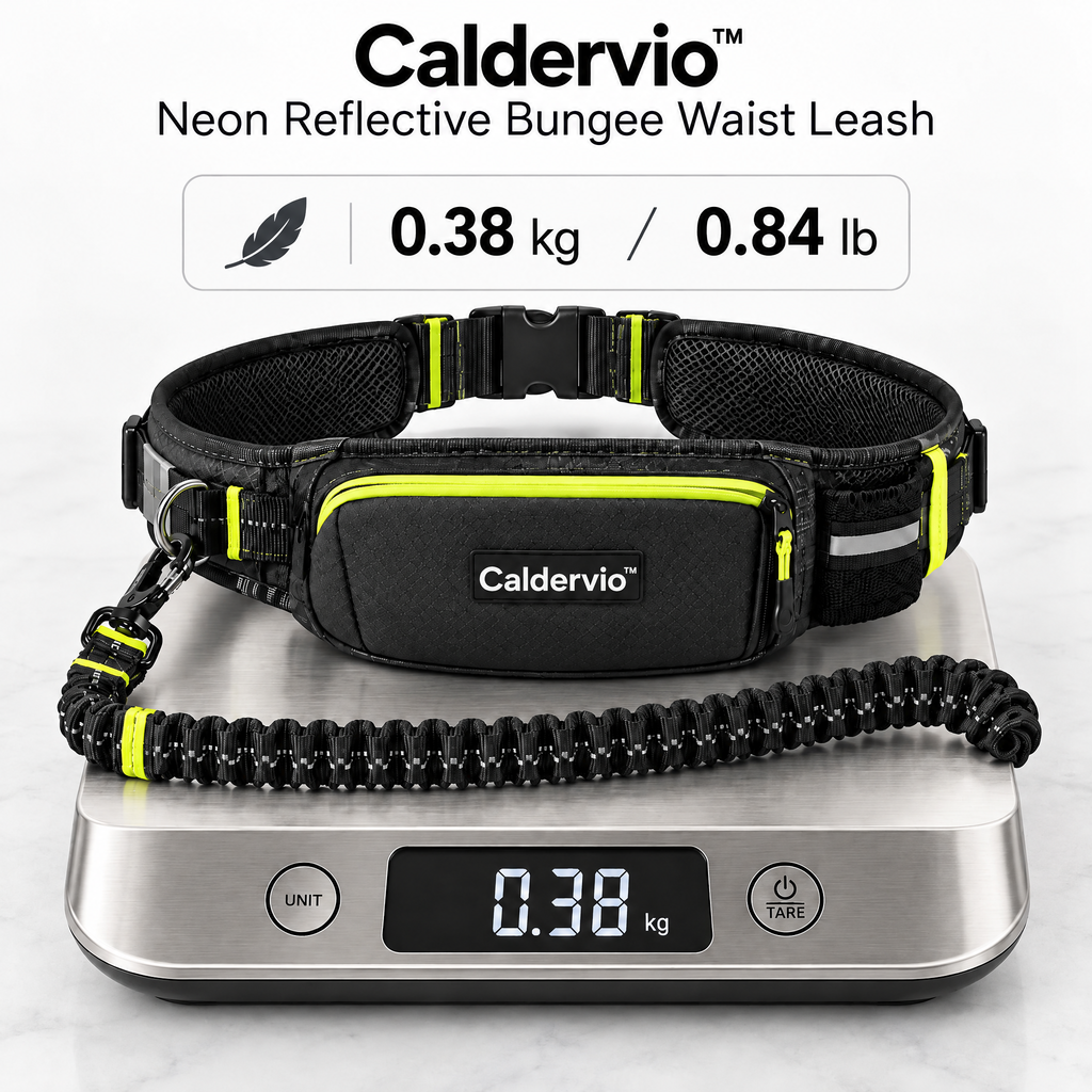 Caldervio™ Neon Reflective Bungee Waist Leash product weight