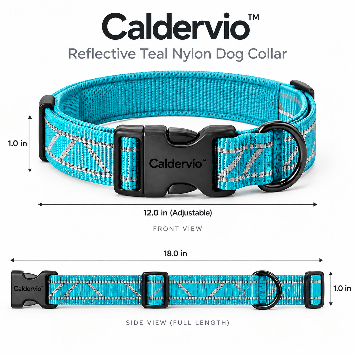 Caldervio™ Reflective Teal Nylon Dog Collar product dimensions