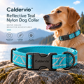 Caldervio™ Reflective Teal Nylon Dog Collar lifestyle image